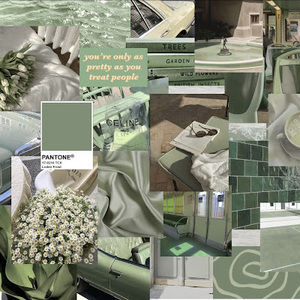 Meet your Posher, Amaya